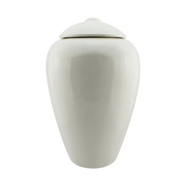 Adult Hielo Eco Biodegradable Urn